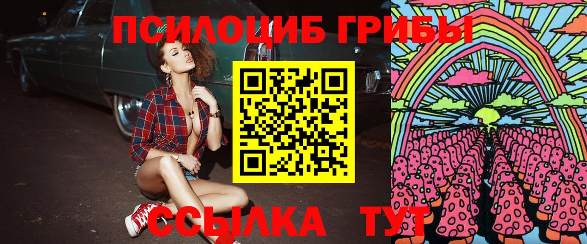 Галлюциногенные грибы Psilocybine cubensis  Псилоцибиновые грибы мухоморы  Артёмовский  Вход с VPN 